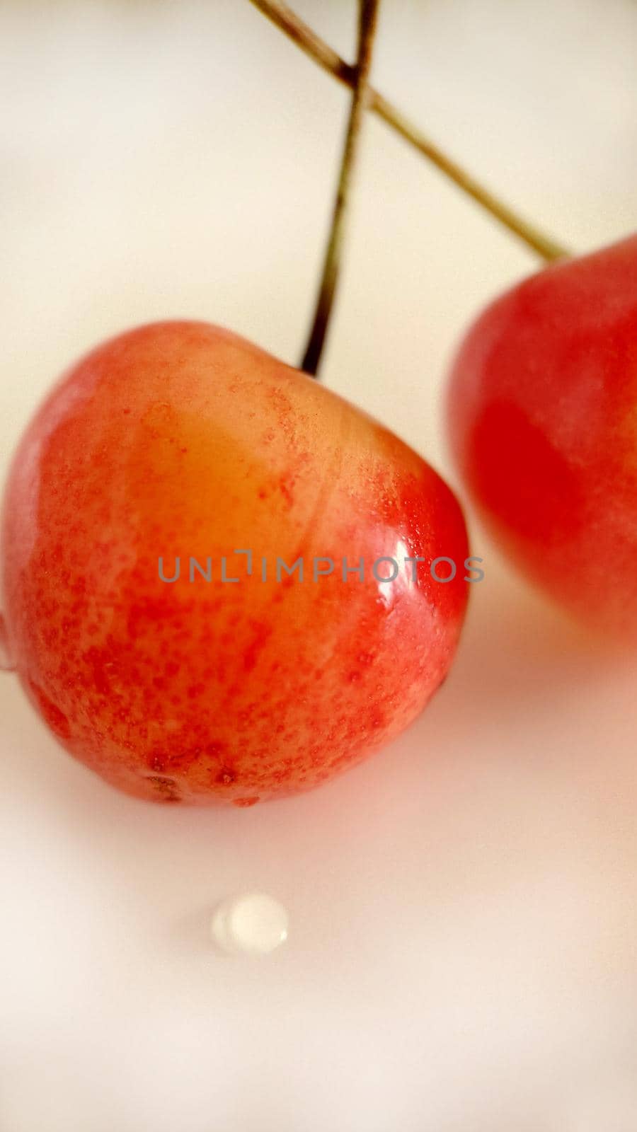 Macrophotography.Two yellow-red cherries on a light background with a drop of water.Texture or background