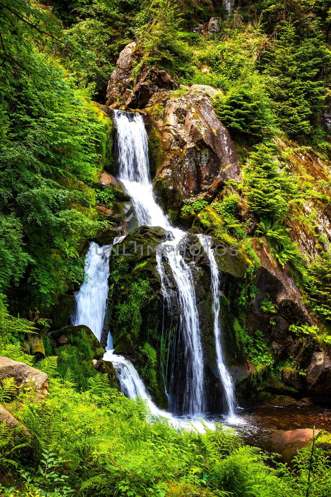 Cascade waterfalls in Triberg, Schwarzwald. Travel in Germany.  by EdVal