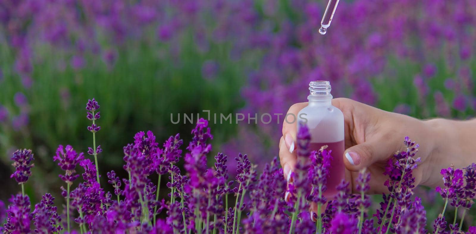 A bottle of lavender essential oil on a wooden table and a field of flowers background. selective focus