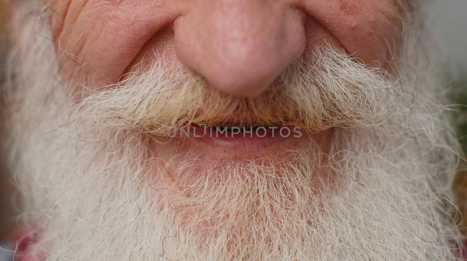 Close-up macro portrait of carefree senior old grandfather man 60s wrinkled face smiling, laughing. Happy bearded stylish grey hair elderly mature retired grandpa pensioner male guy posing at camera.
