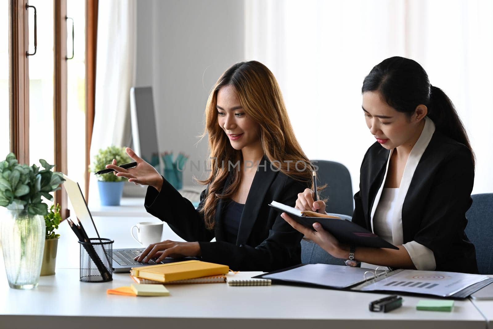 Two beautiful business colleagues working together in bright modern office.