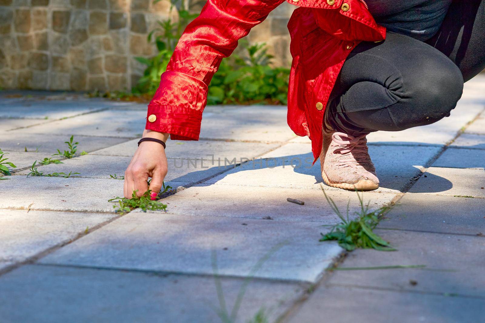 the action of making something clean, especially the inside of a house. A young woman pulls out grass sprouted in a tile on the site near the house. High quality photo