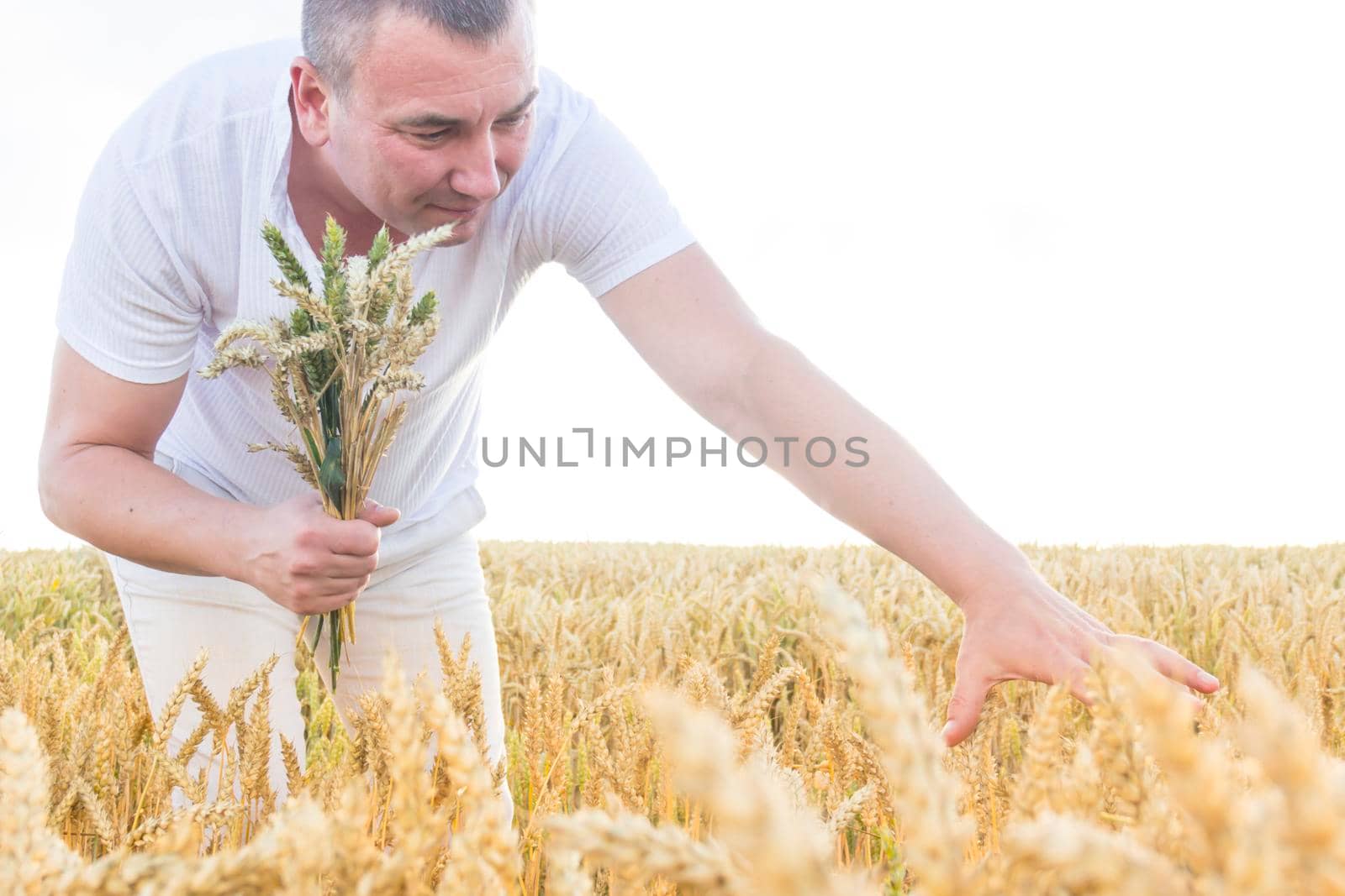 A man harvests a grain crop and walks carefree and fun in a field with wheat. It's time to harvest. The food crisis in the world. by Alla_Yurtayeva