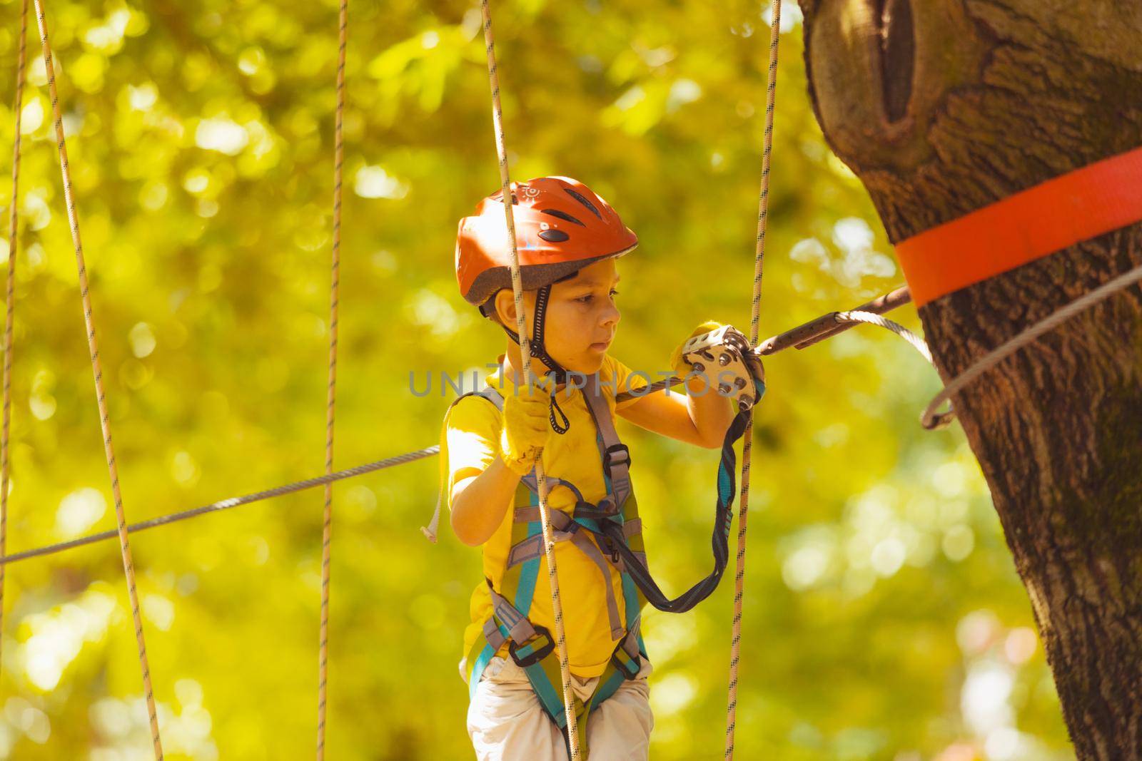 Portrait of a concentrated boy who is climbing in the rope park in summer. He is wearing a protective helmet and gloves
