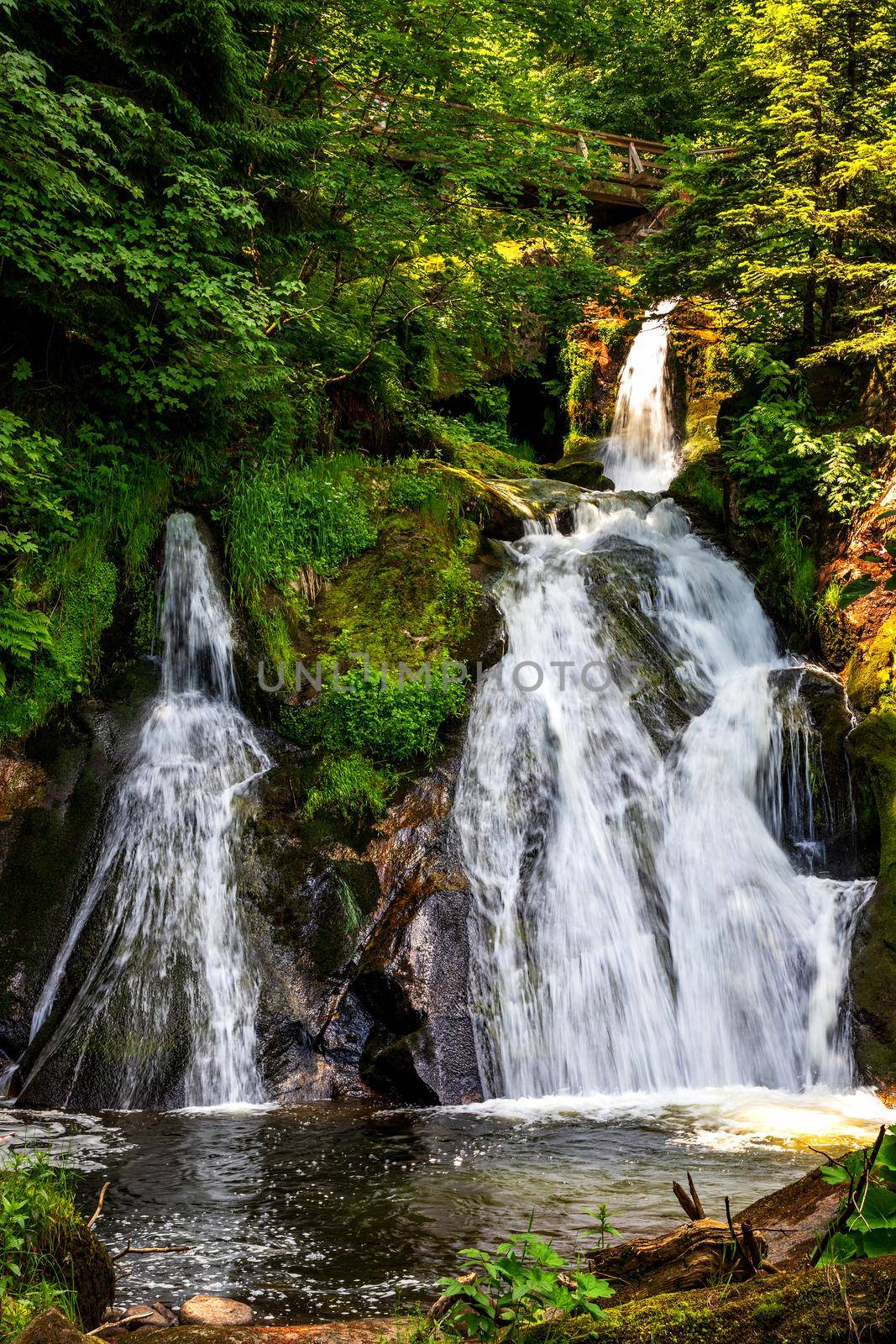 Cascade waterfalls in Triberg, Schwarzwald. Travel in Germany.  by EdVal