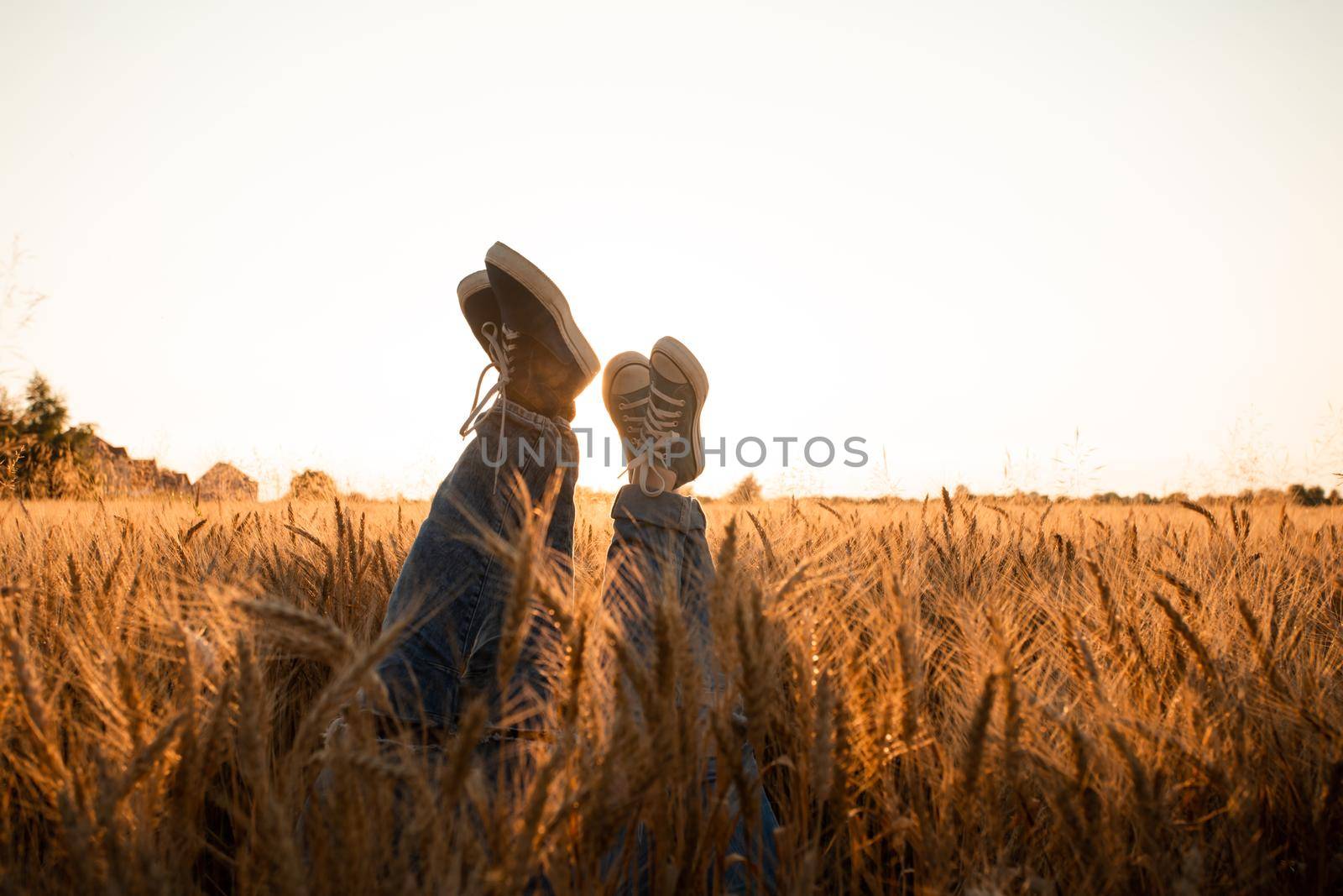 Couple's legs over grain field and sky by oksix