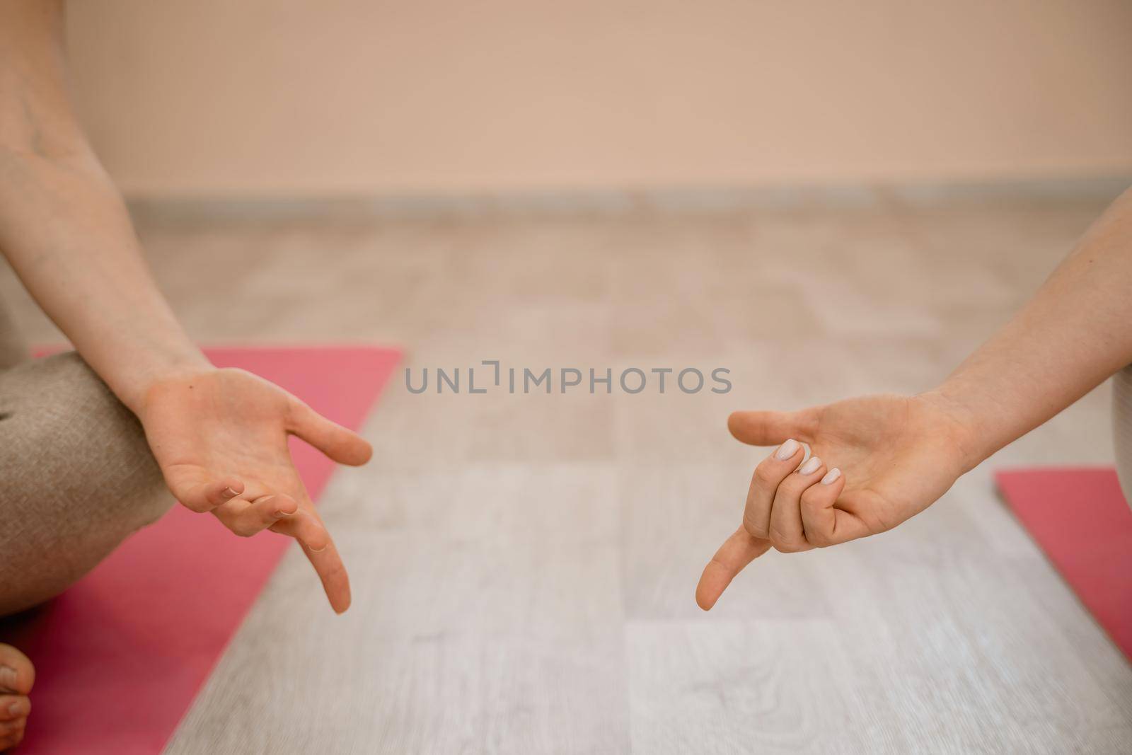 Two beautiful women do yoga, sports in the gym. The concept of grace and beauty of the body. by Matiunina