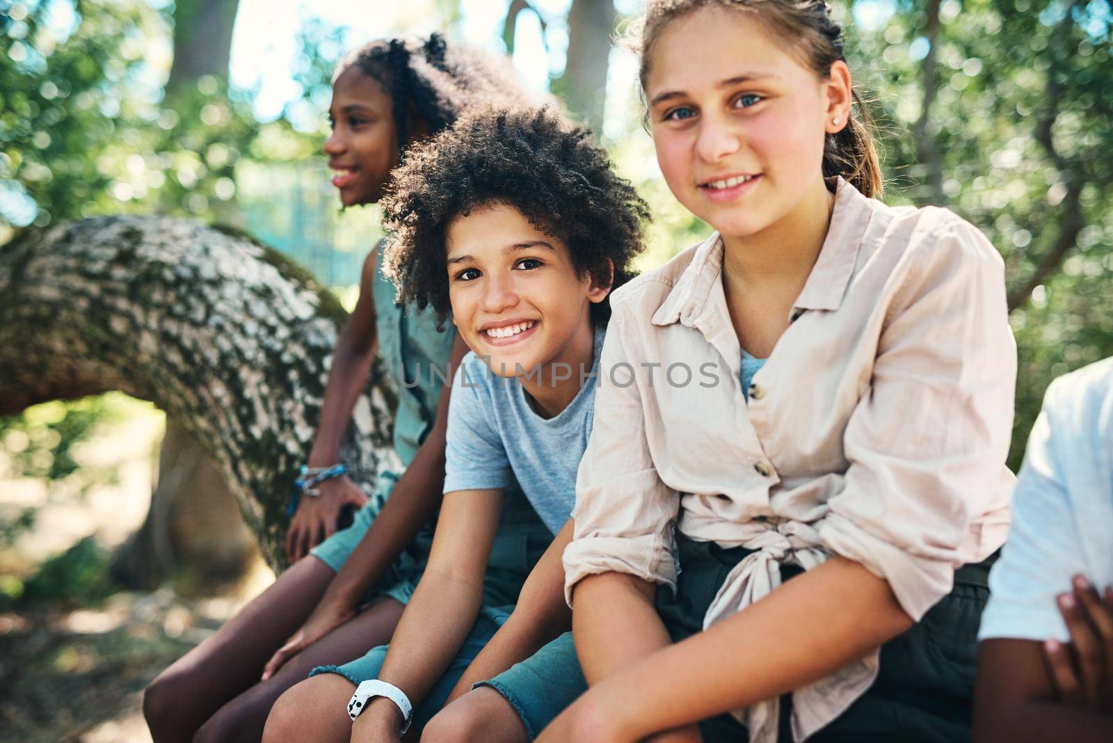 Carefree days at summer camp. a group of teenagers sitting on a tree trunk at summer camp
