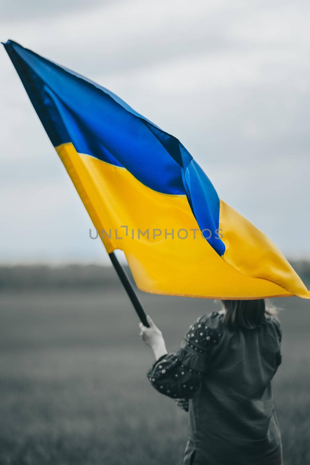 Beautiful ukrainian woman with national flag on green field background. Young lady in red embroidery vyshyvanka. Ukraine, independence, freedom, patriot symbol, victory in war. High quality photo