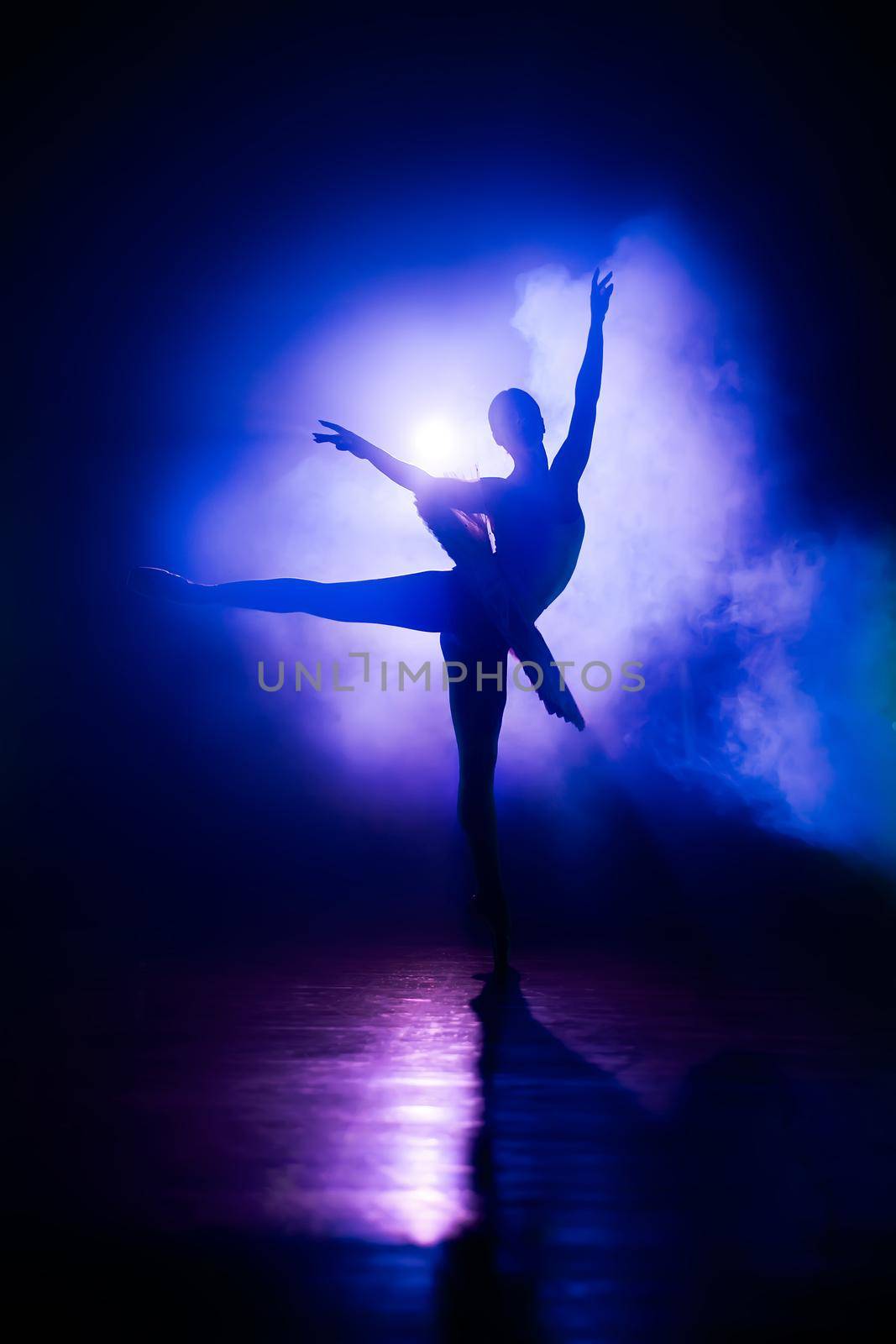 Silhouette of ballerina in studio with violet neon colorful light. Young woman dancing in classic tutu dress. Gracefulness and tenderness in every movement. High quality photo