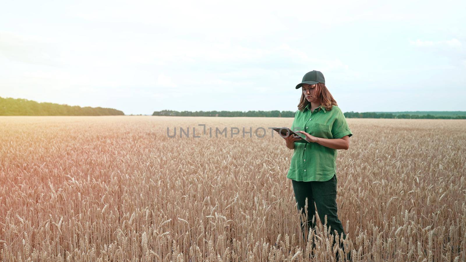 Woman agronomist works in ripe wheat field with digital tablet, checking integrity of ears, growth. Agricultural business, technology, smart eco system, harvest concept. High quality photo