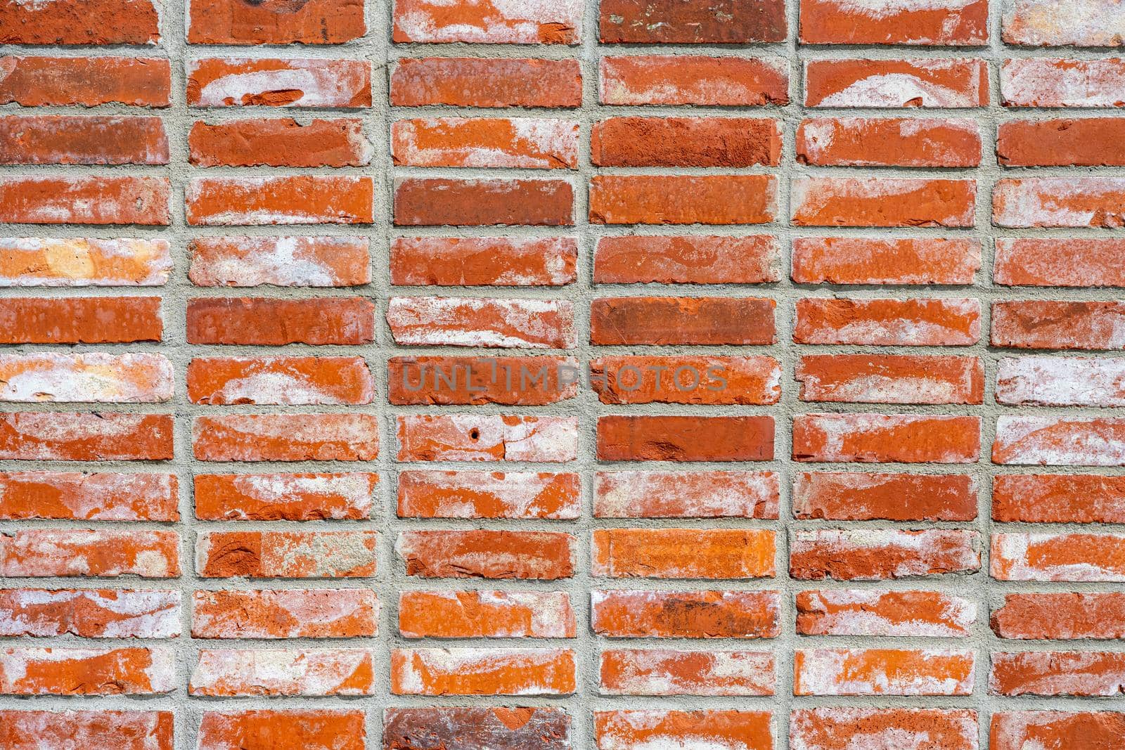 Wall made of red clinker bricks by elxeneize