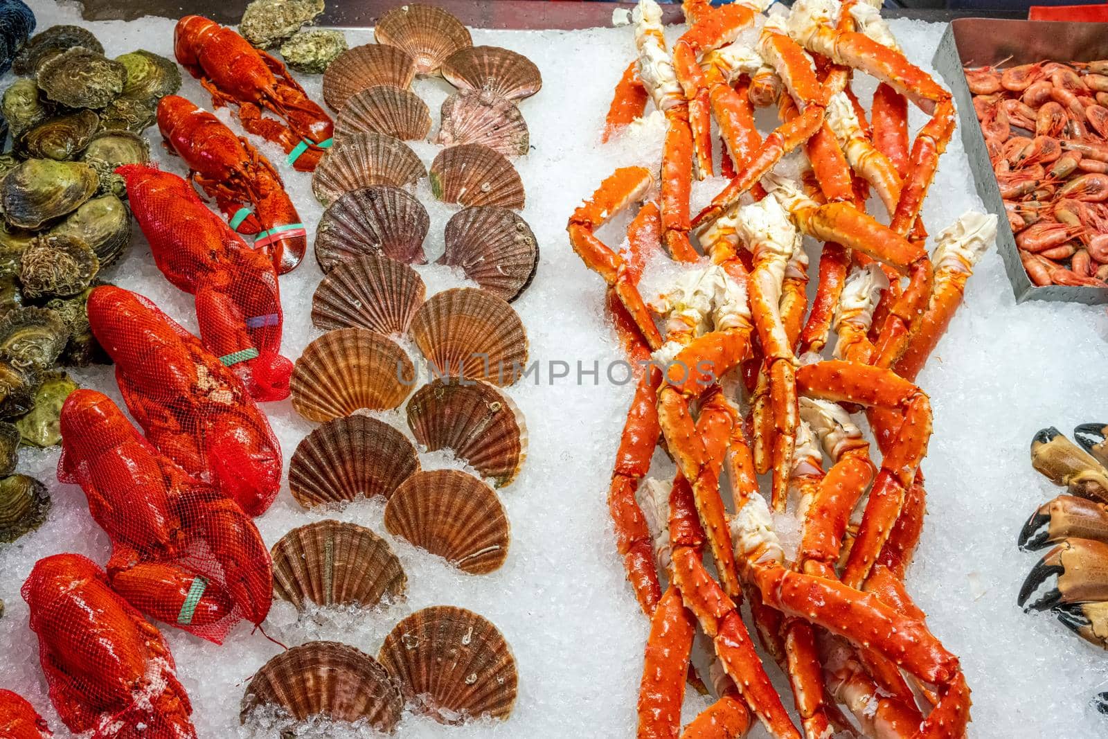 Lobsters, crabs and seafood for sale by elxeneize