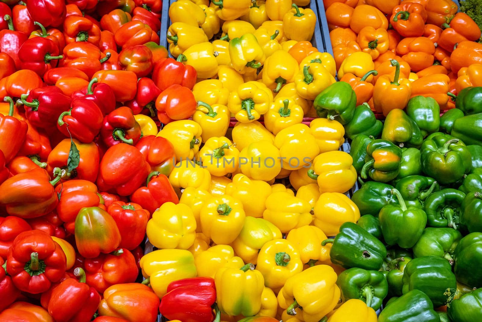 Bell pepper in different colors by elxeneize