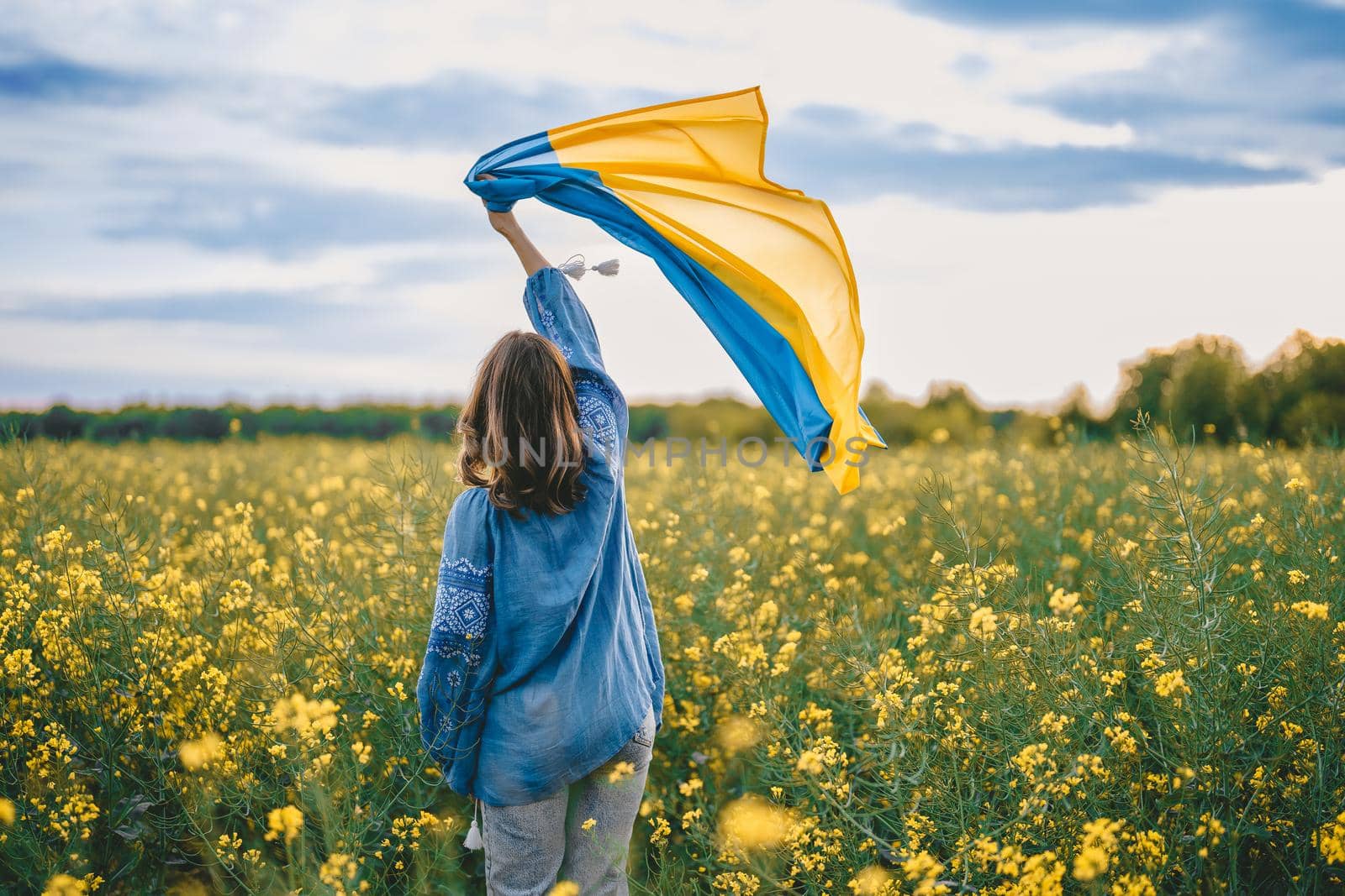 Ukrainian patriot woman waving national flag in canola yellow field. Rare, back view. Ukraine unbreakable, peace, independence, freedom, victory in war. High quality photo