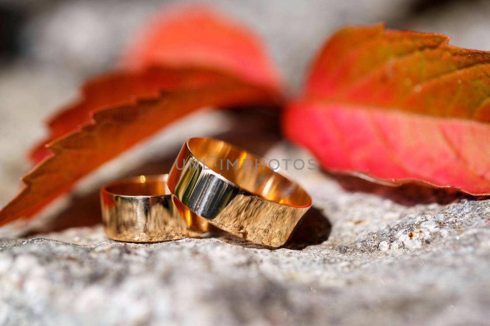 gold wedding rings for newlyweds on their wedding day