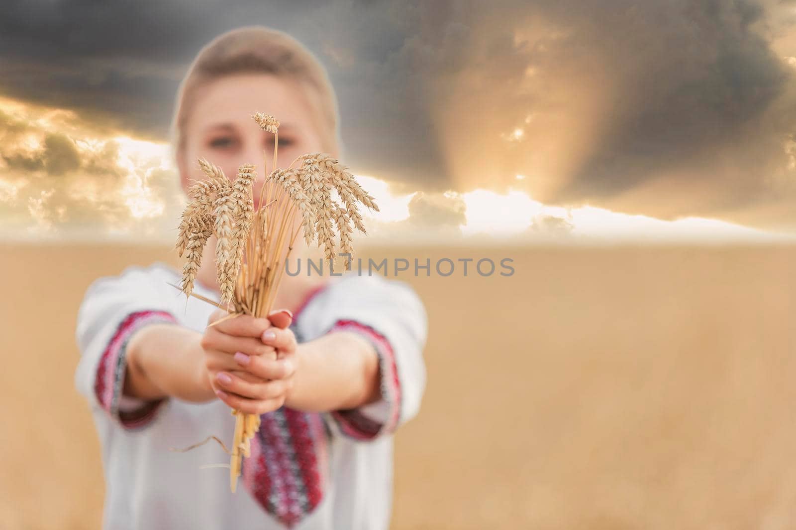 girl with wheat in her hands against the background of a field and a sunset sky