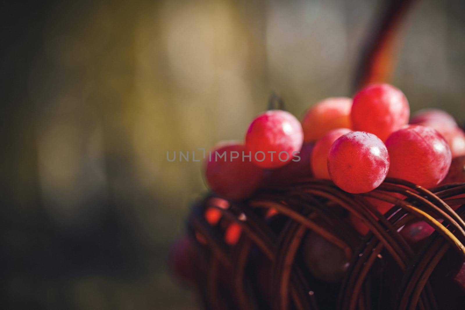 Autumn grapes fruit and fallen leaves on rustic background. Delicious, appetizing. Autumn harvest on the wooden table. Antioxidants, detox diet, organic fruits. Top view.