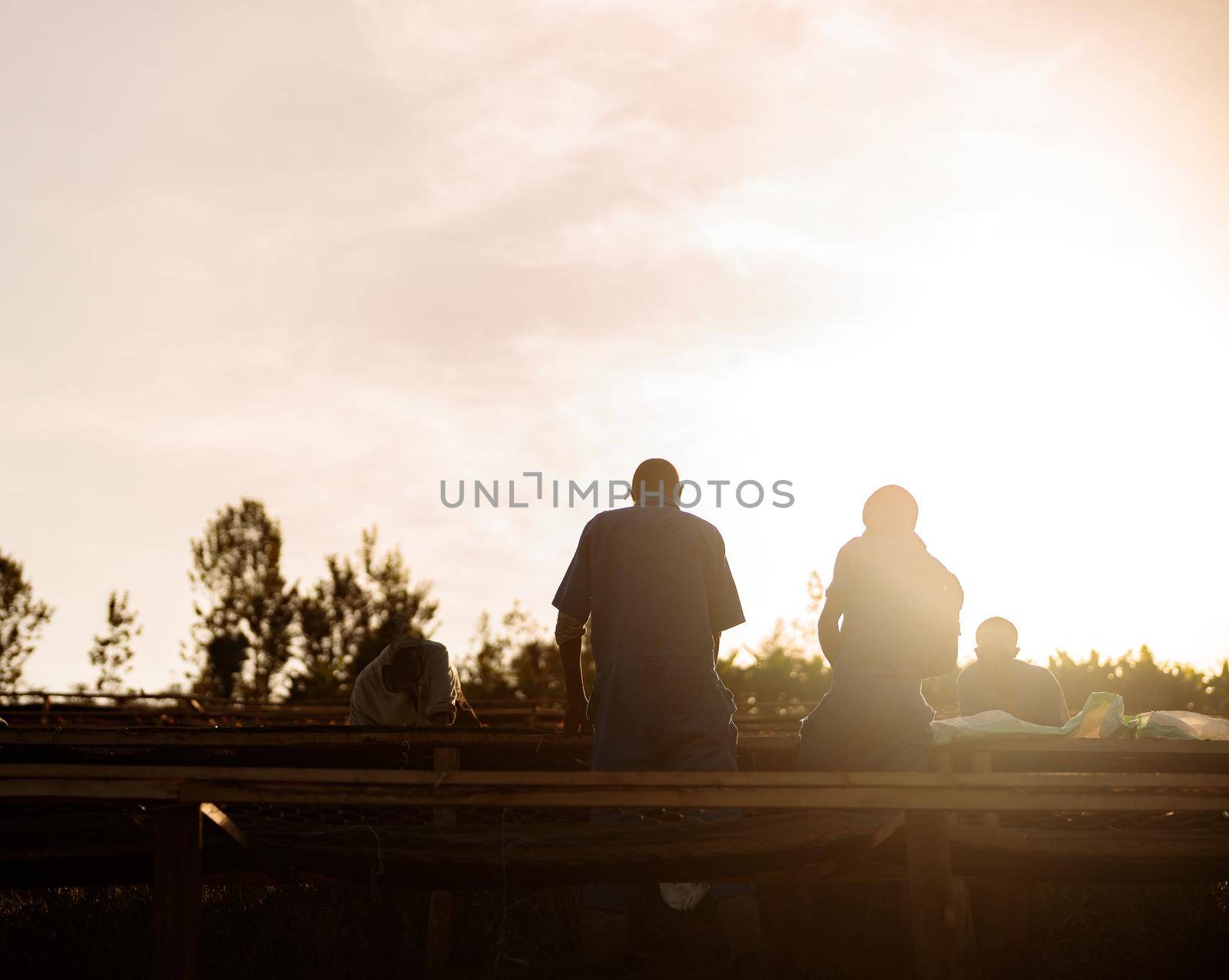 Workers working at the coffee washing station since dawn by Yaroslav_astakhov