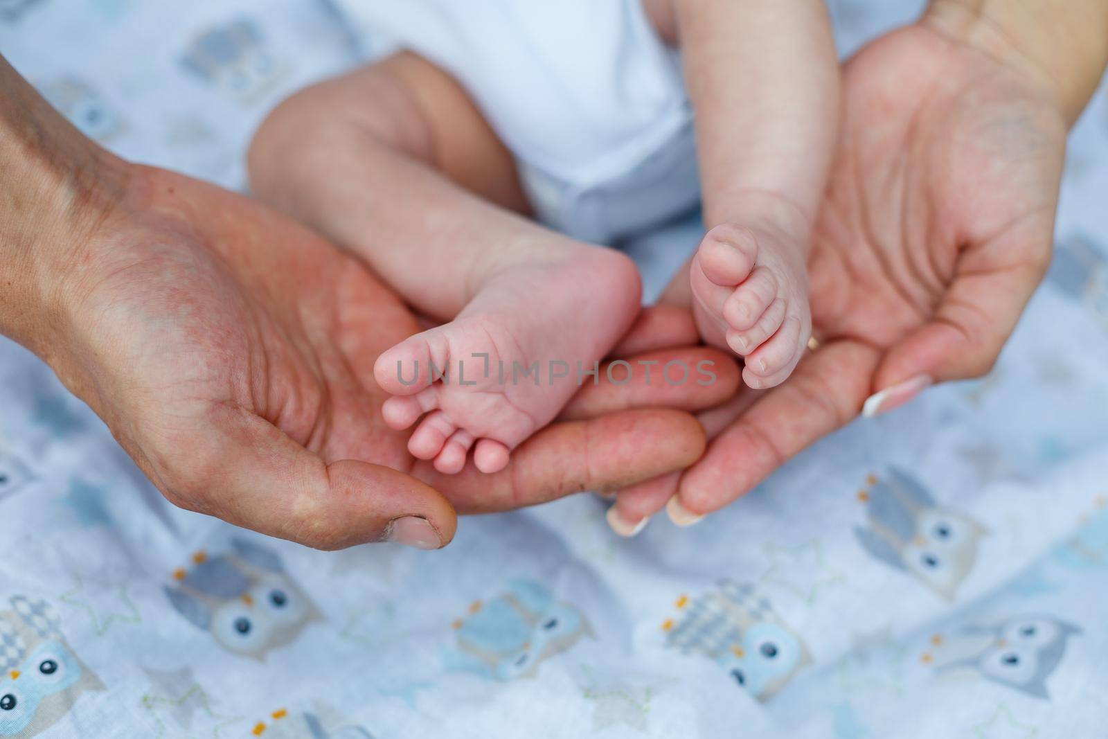 cute little baby feet in the afternoon