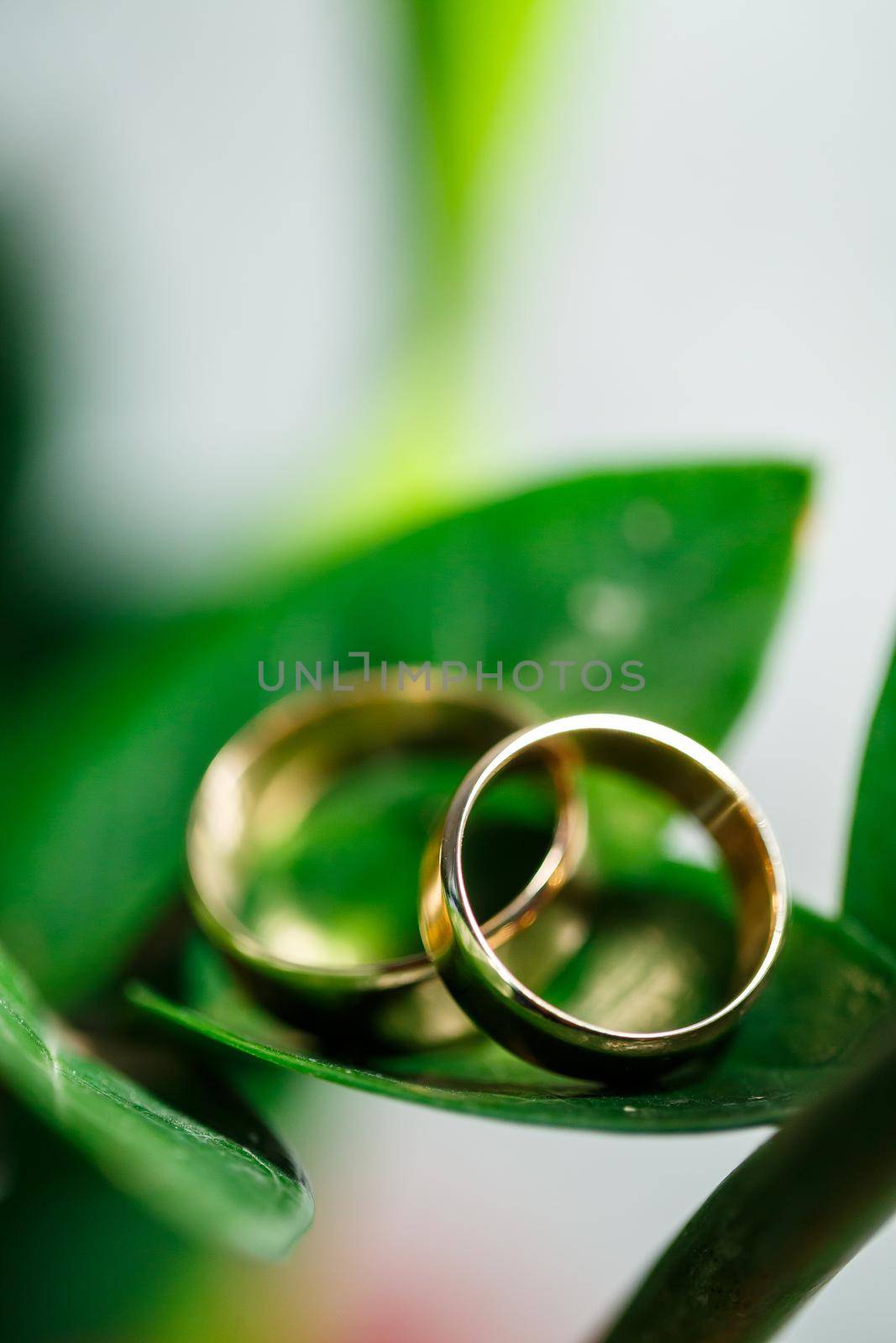 Gold wedding rings for newlyweds on wedding day