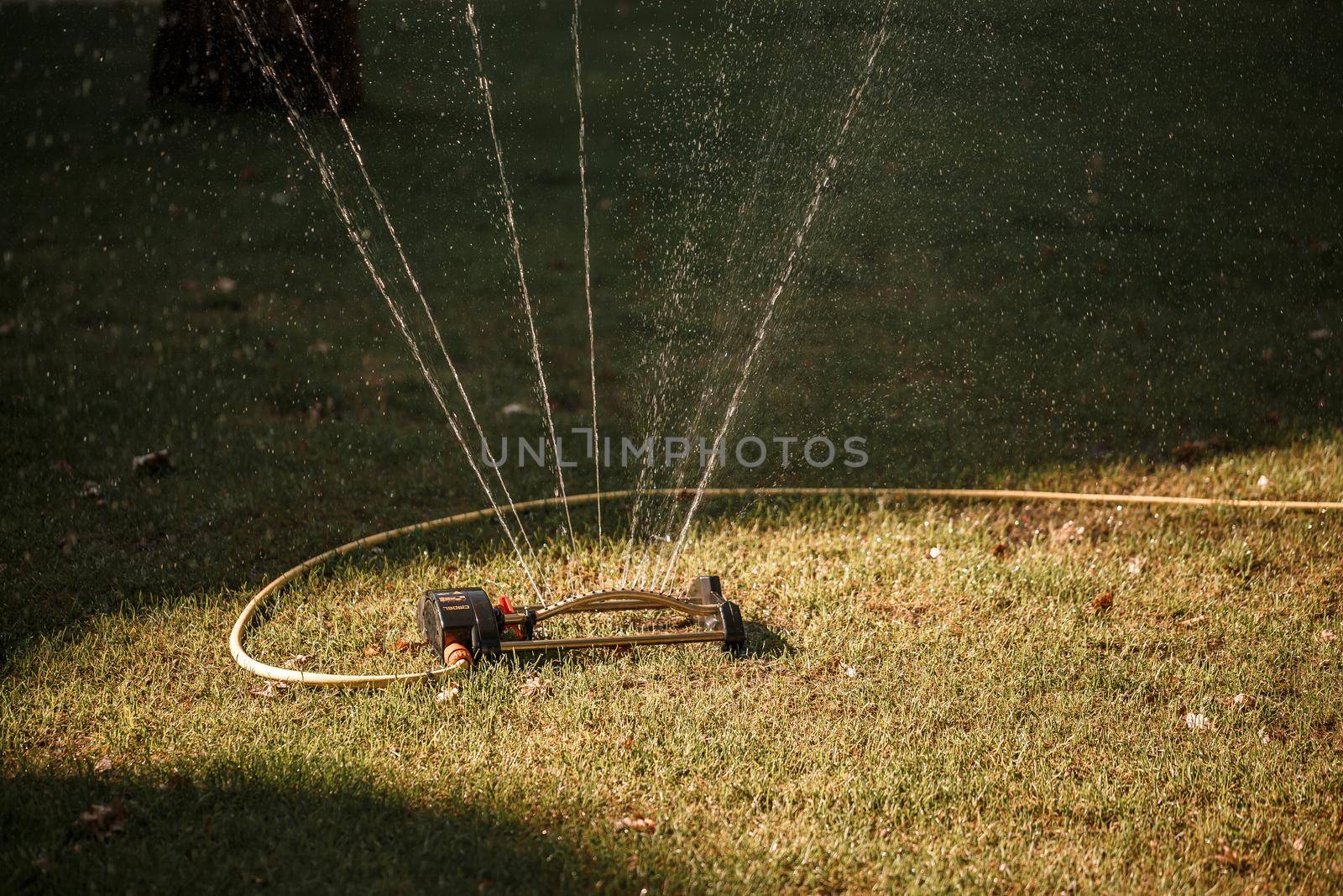Watering the green lawn in sunny weather, caring for the garden area
