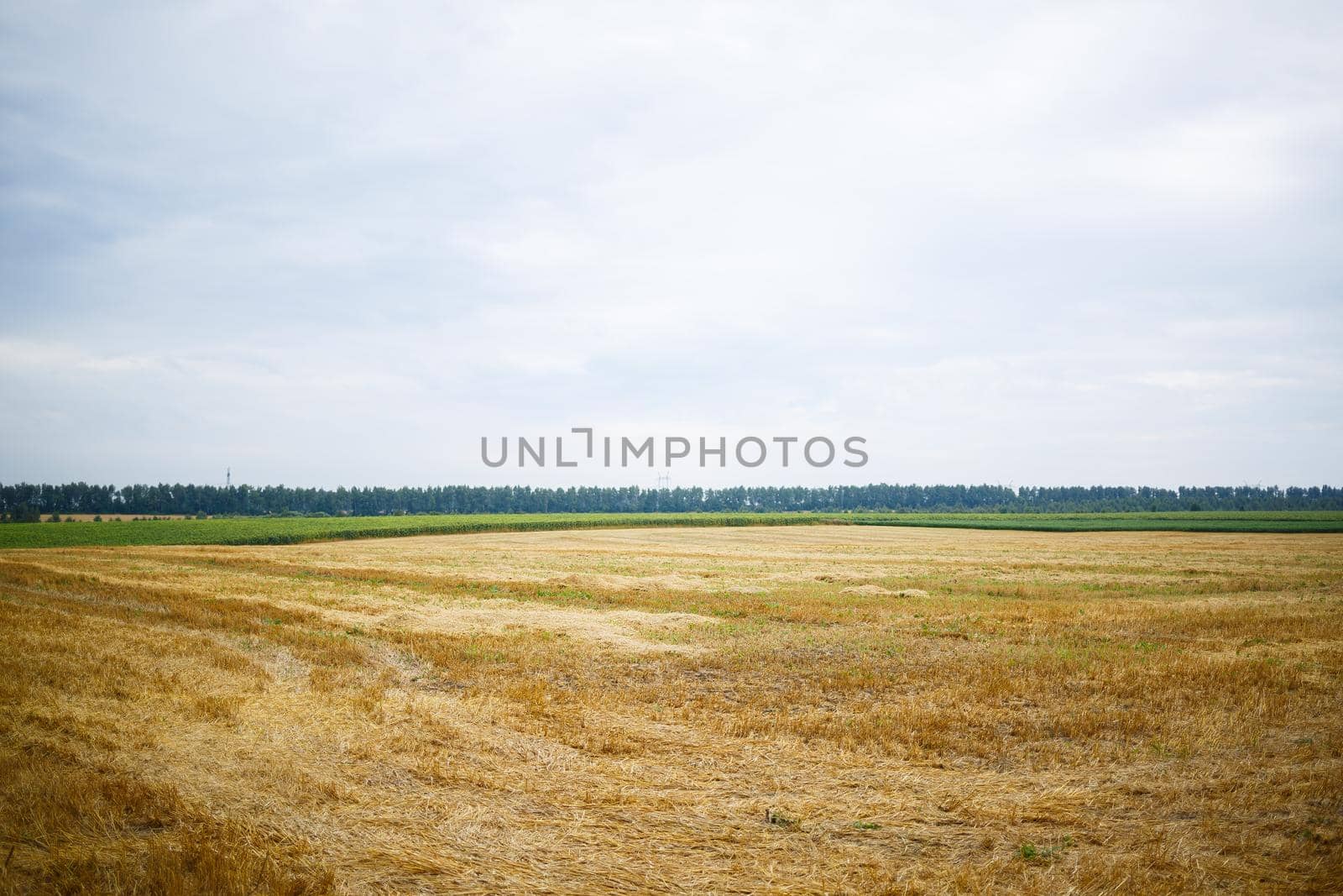 Beautiful nature on a bright sunny day