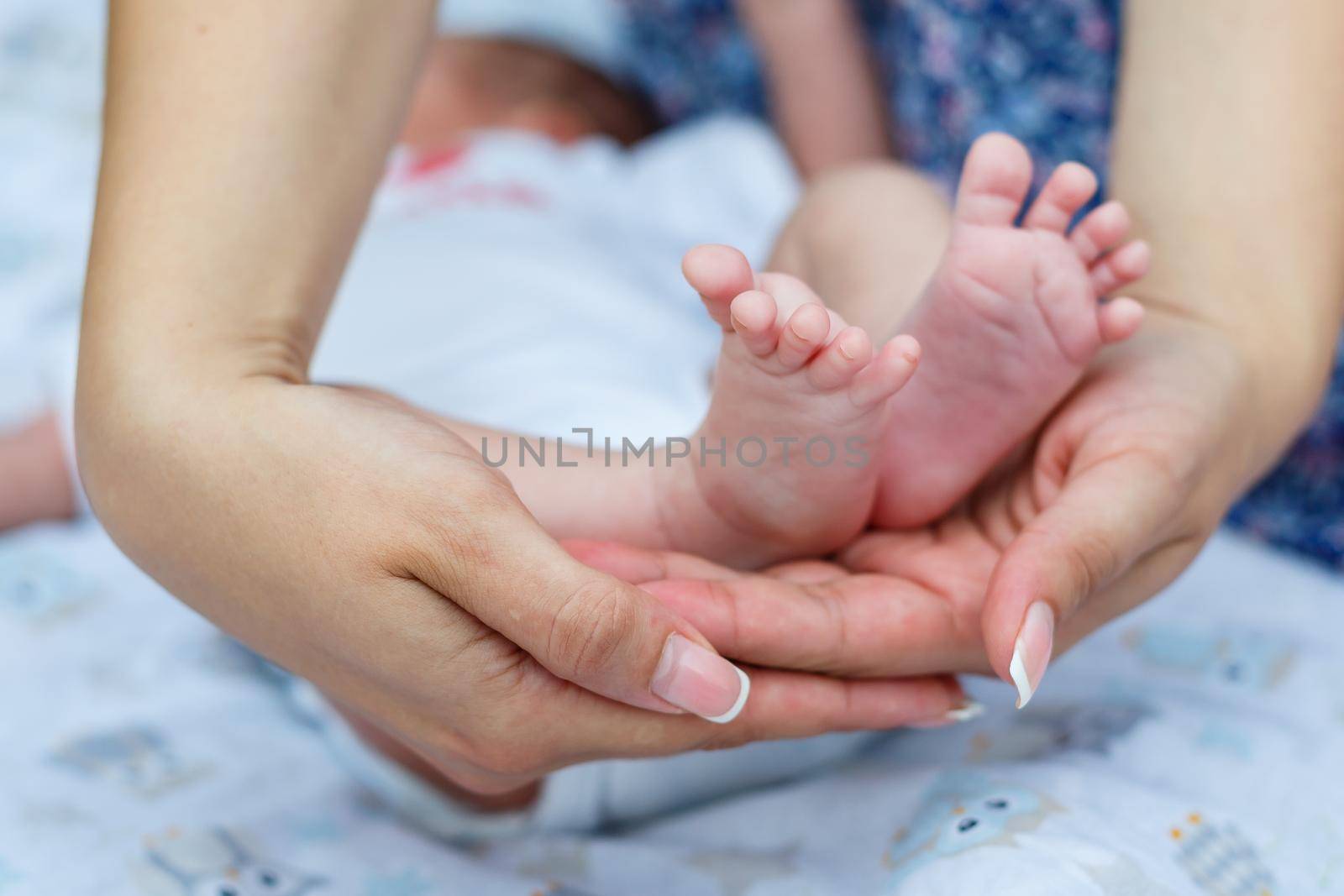 cute little baby feet in the afternoon