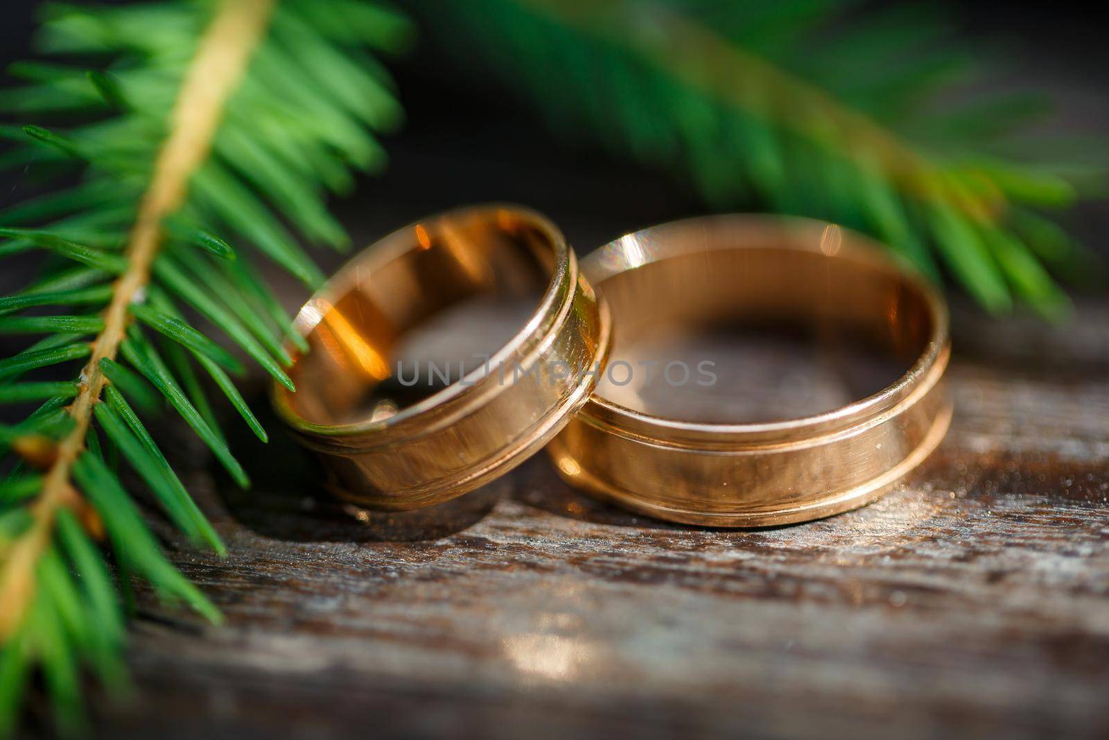 Gold wedding rings for newlyweds on wedding day