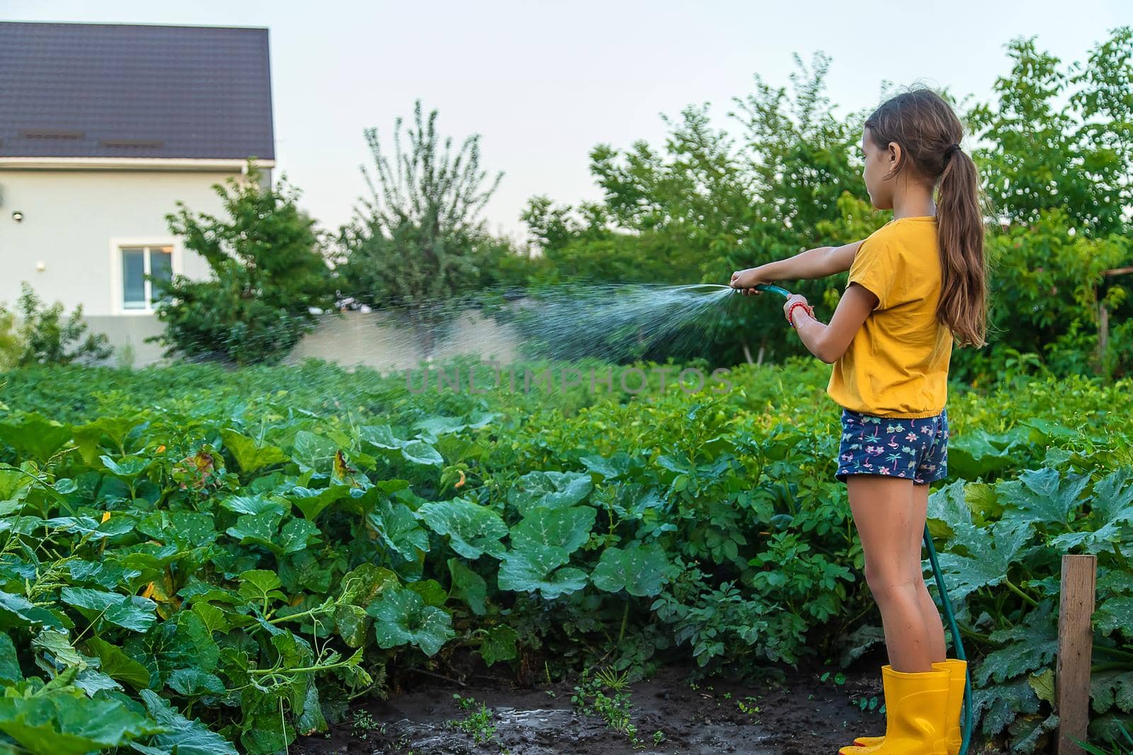 The child is watering the garden with a hose. Selective focus. Nature.