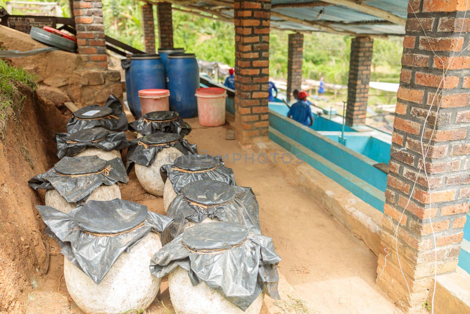 Coffee storage at washing station at coffee farm of eastern Africa