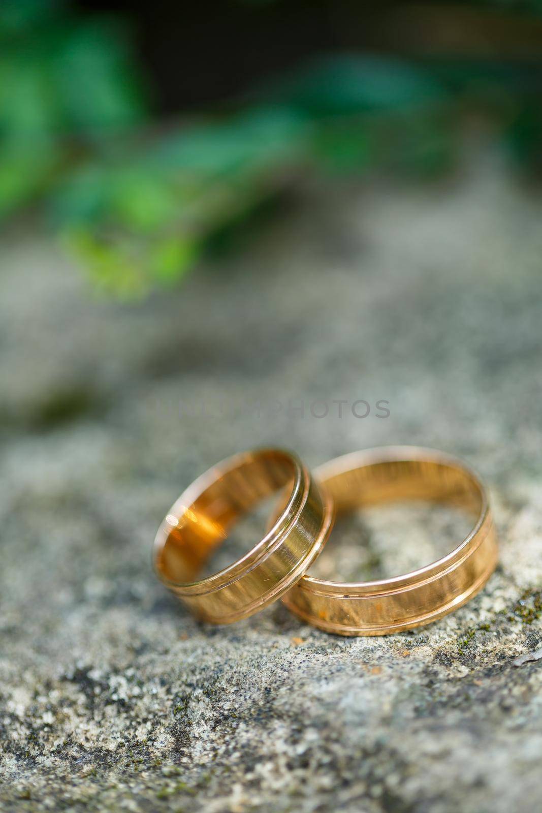 Gold wedding rings for newlyweds on wedding day by Dmitrytph