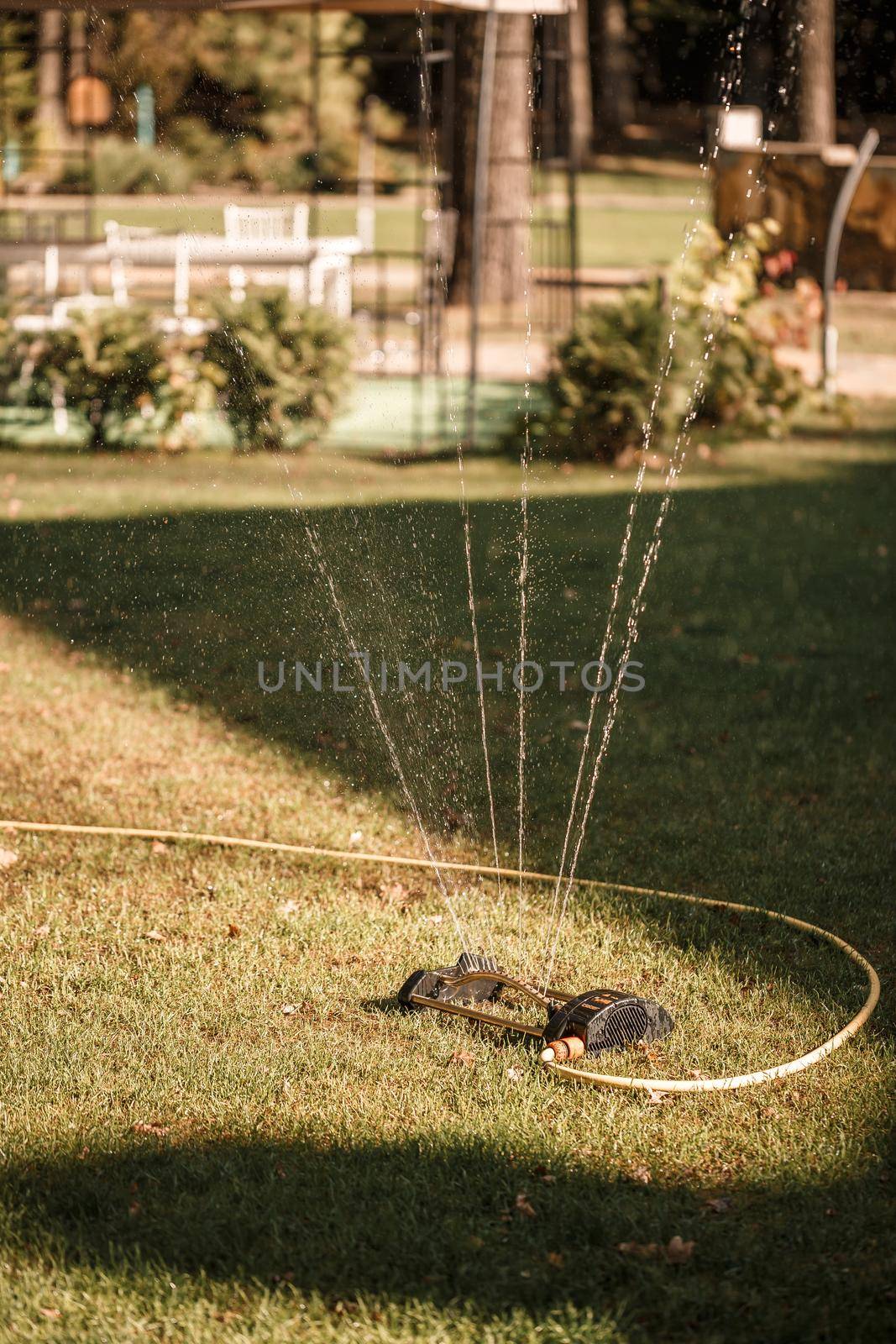 Watering the green lawn in sunny weather, caring for the garden area