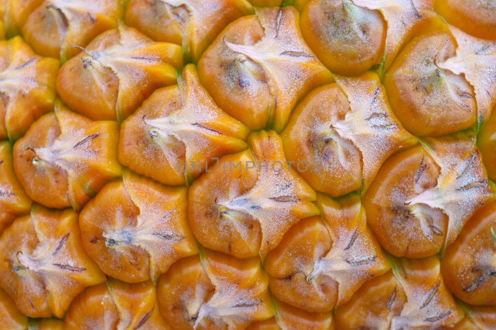 background of ripe pineapple peel by jahidul2358