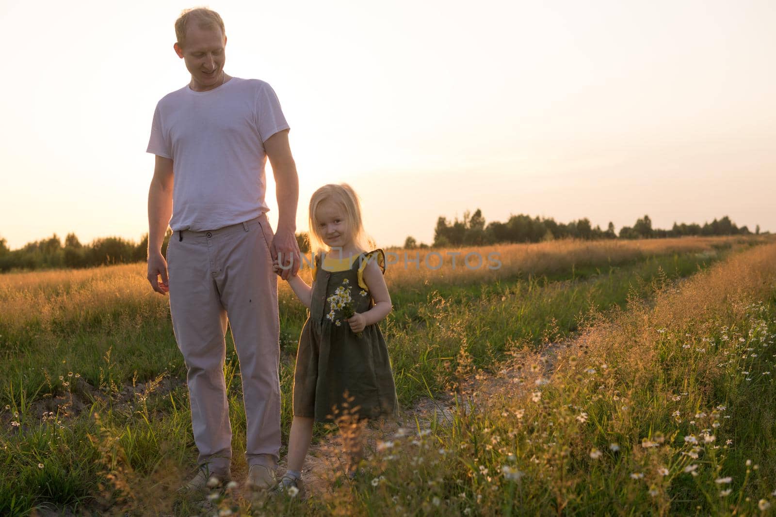 Dad and his blonde daughter are walking and having fun in a chamomile field. The concept of Father's Day, family and nature walks.