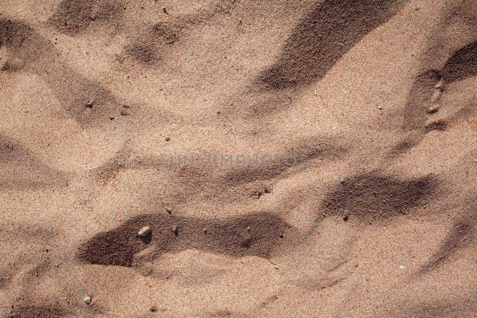 The texture of pure sand on the beach or in the desert. by AnatoliiFoto