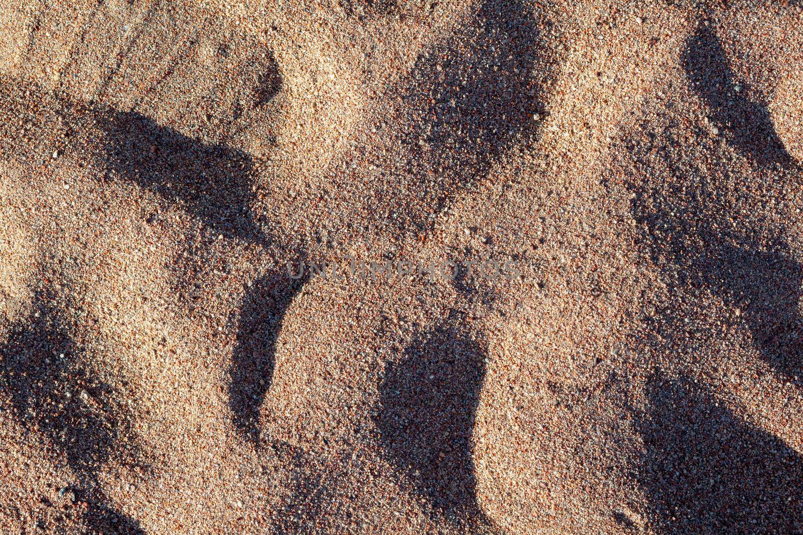 The texture of pure sand on the beach or in the desert. by AnatoliiFoto