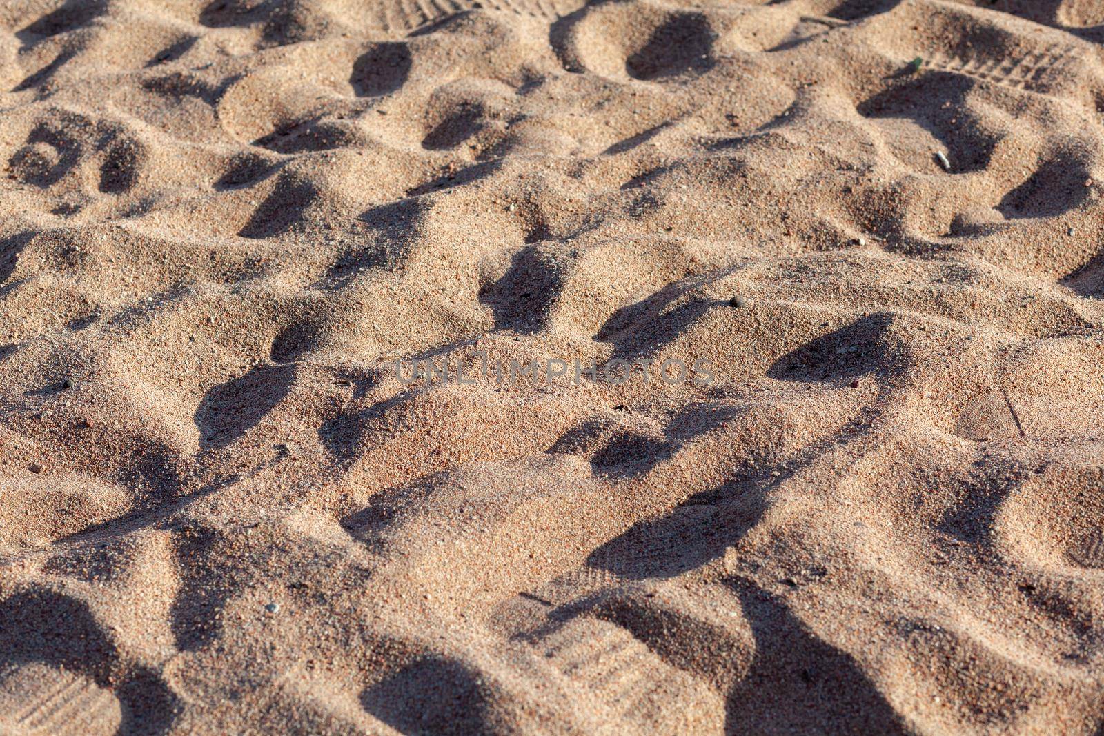 The texture of pure sand on the beach or in the desert. There is free space for the text.