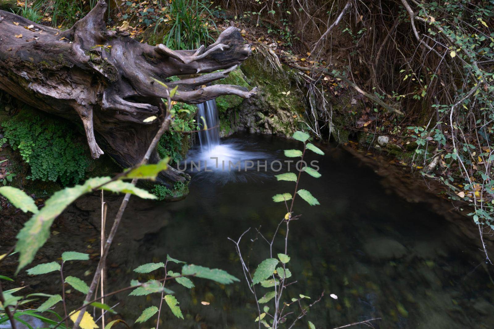 waterfall in a high mountain stream, dense vegetation, fishing shelter