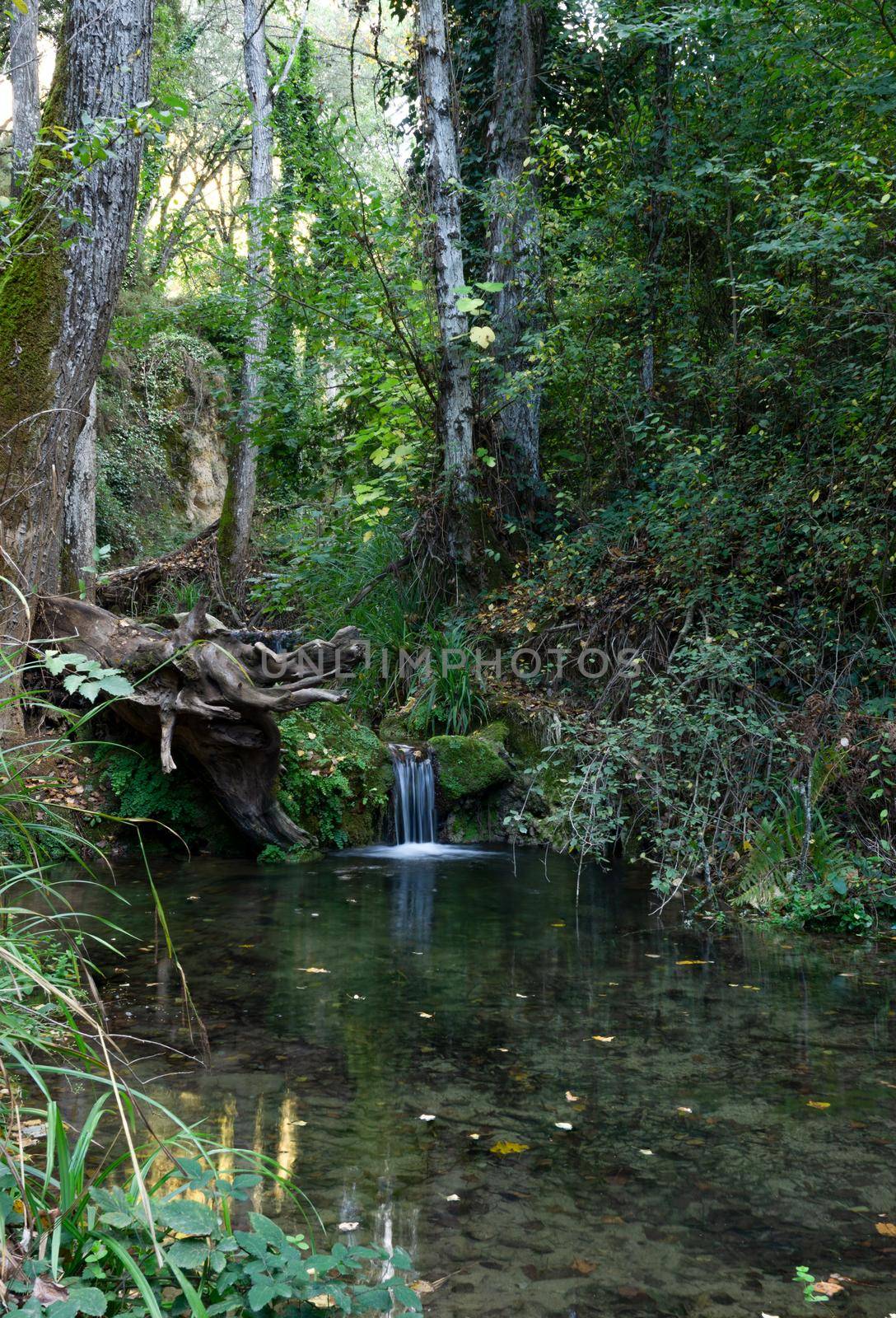 waterfall in a high mountain stream, dense vegetation, fishing shelter