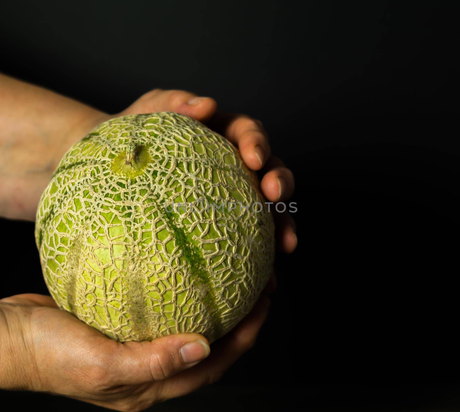 cantaloupe melon on black background dark food