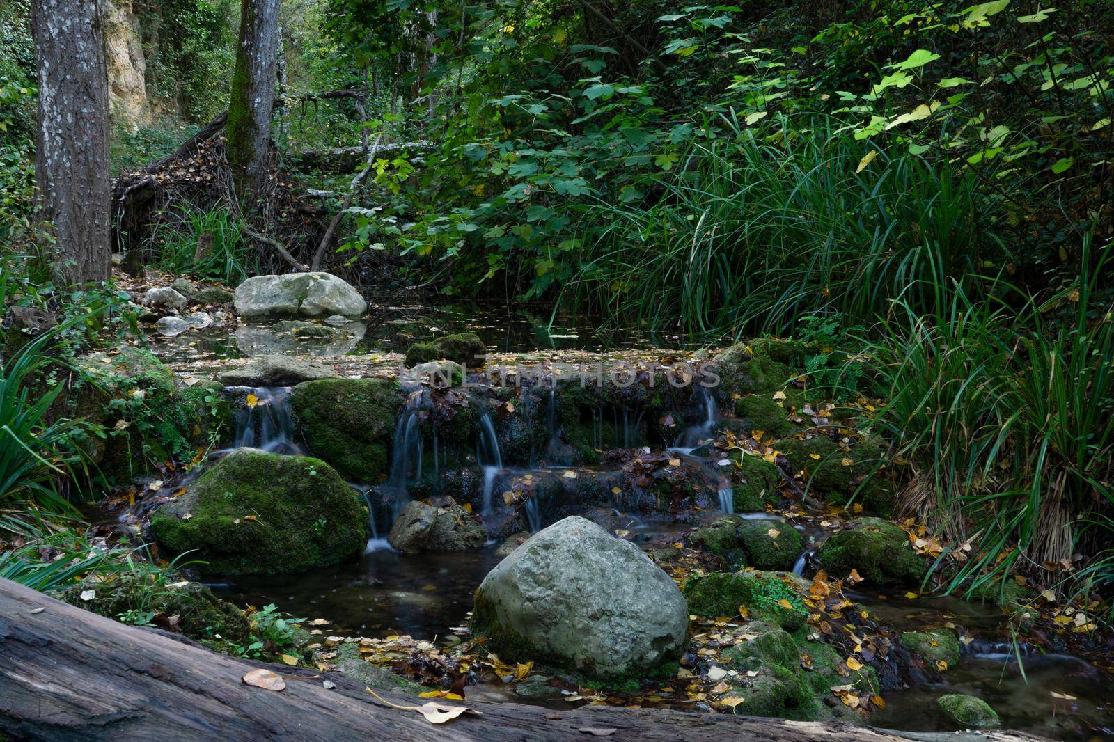 waterfall in a high mountain stream, dense vegetation, fishing shelter