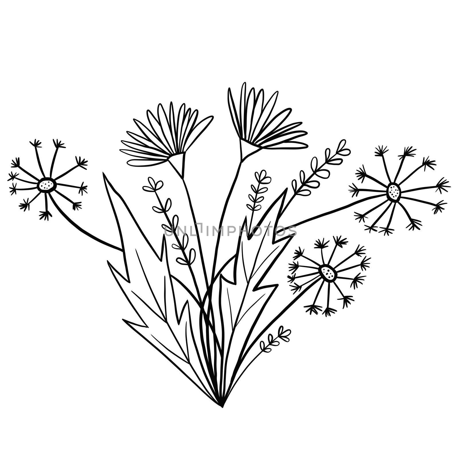 Hand drawn floral flower leaves illustration, black white elegant wedding ornament, Line art minimalism tatoo style design summer spring nature branch foliage blossom