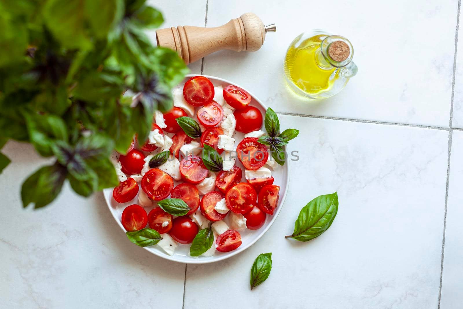 portion of caprese salad under the basil plant, top view, copyspace, selective focus