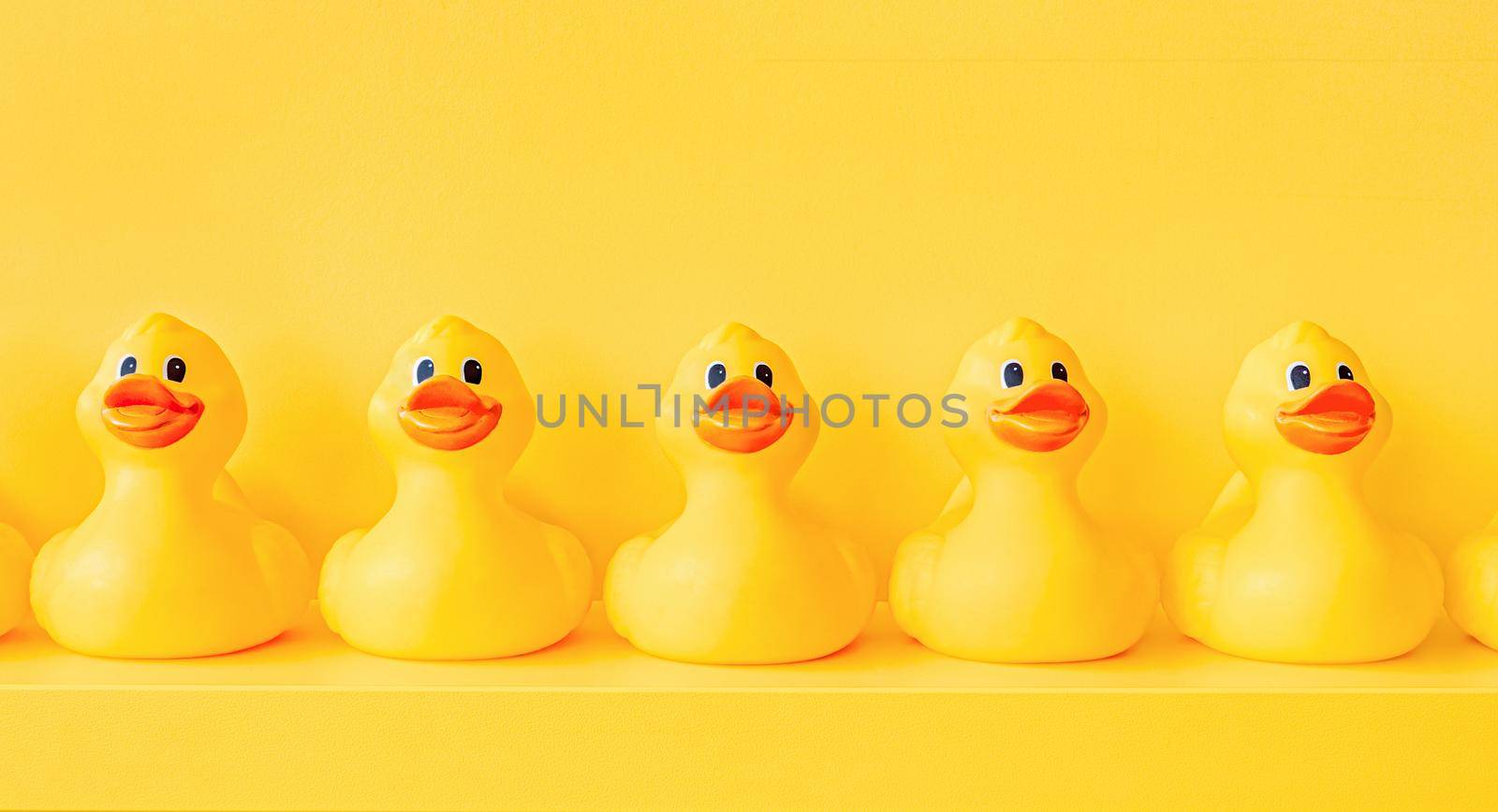 Design yellow rubber ducks in a line toy design shelf decor. Communication. Community. Association. Organize. Rubber duck pattern yellow concept. Rubber ducky bath toy background yellow ducks in a row by synel