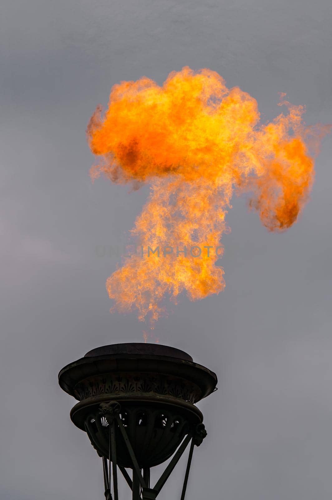 The fire of memory is lit on the rostral columns in St. Petersburg at the celebration of the day of the Russian Navy. High quality photo