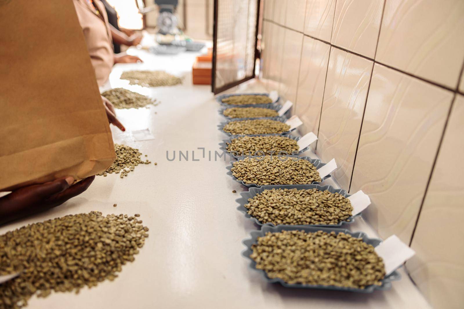 Cropped photo of workers sorting different types of coffee beans into paper bags