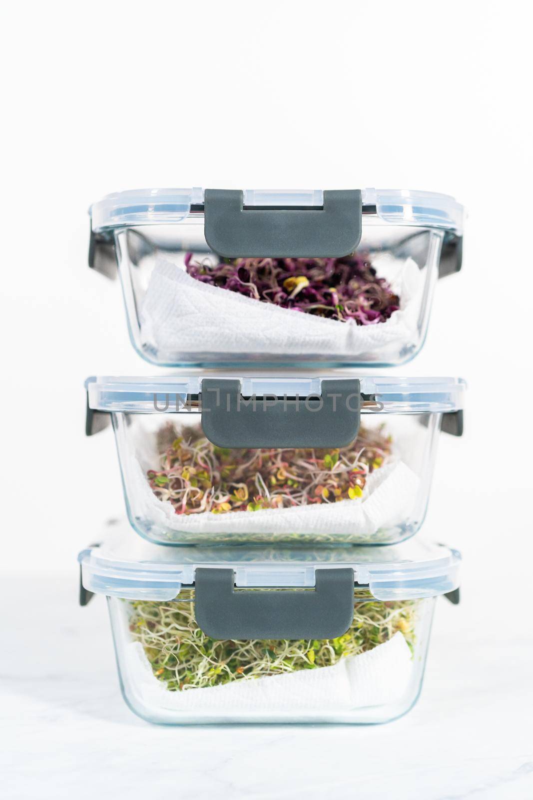 Growing sprouts in a jar by arinahabich