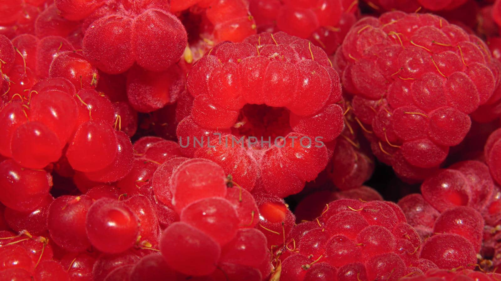 Beautiful raspberries. Texture of fresh ripe raspberries.