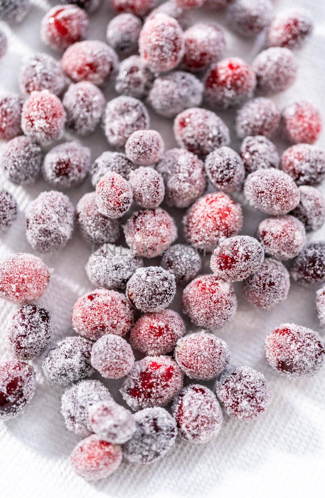 Sugar cranberries. Organic cranberries covered with white sugar.